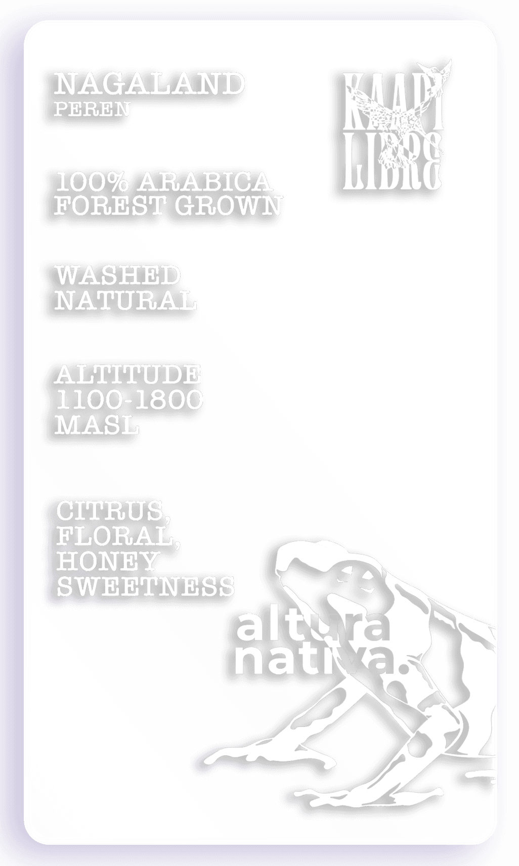 Nagaland - Peren - Arabica