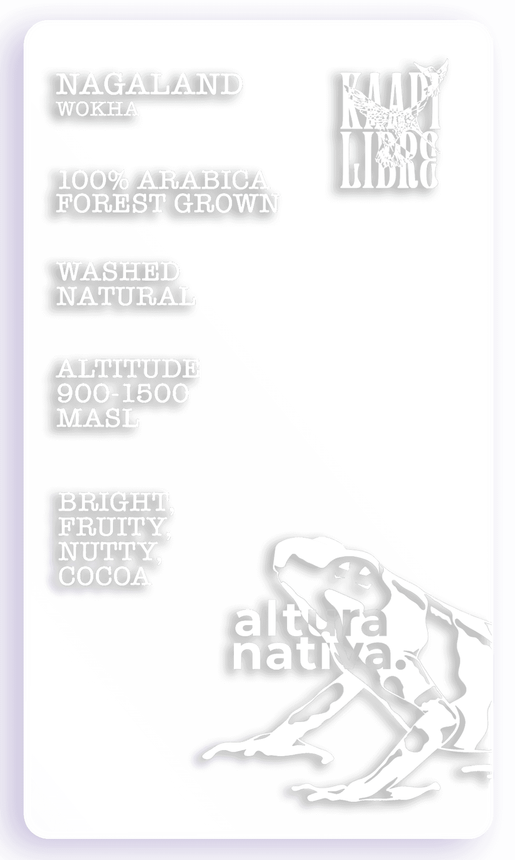 Nagaland - Wokha - Arabica