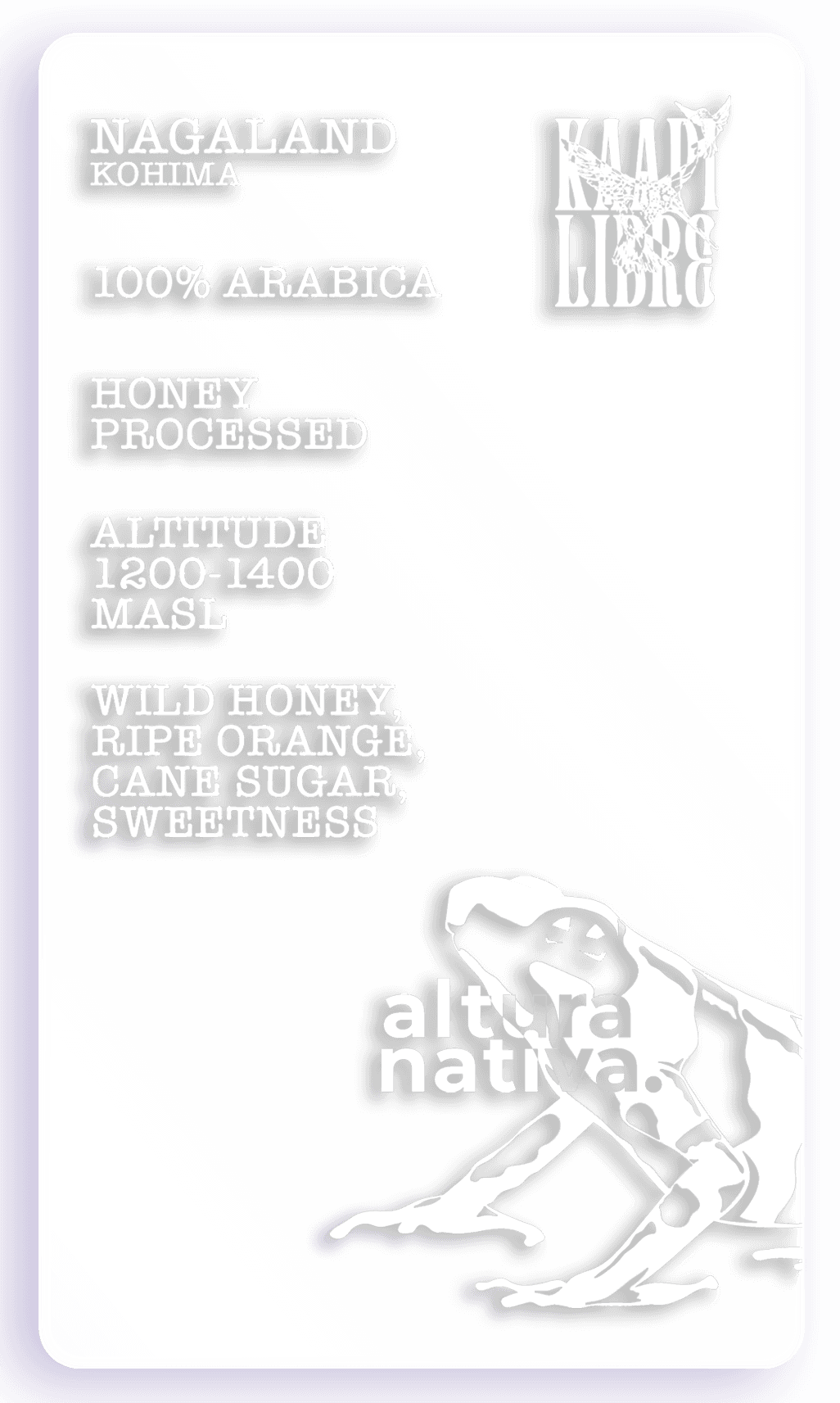 Nagaland - Kohima - Arabica