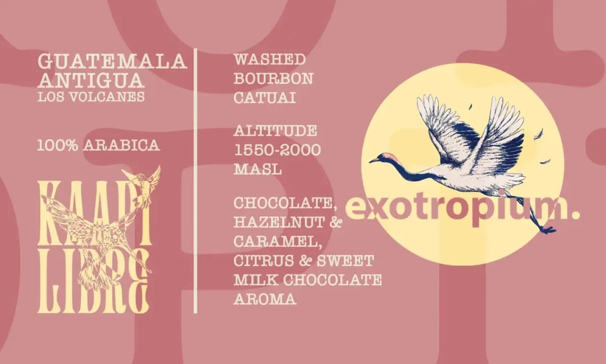 Exotropium - Antigua — Image 1 of 2