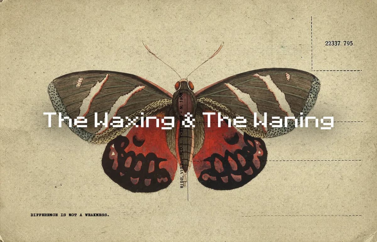 THE WAXING & THE WANING :