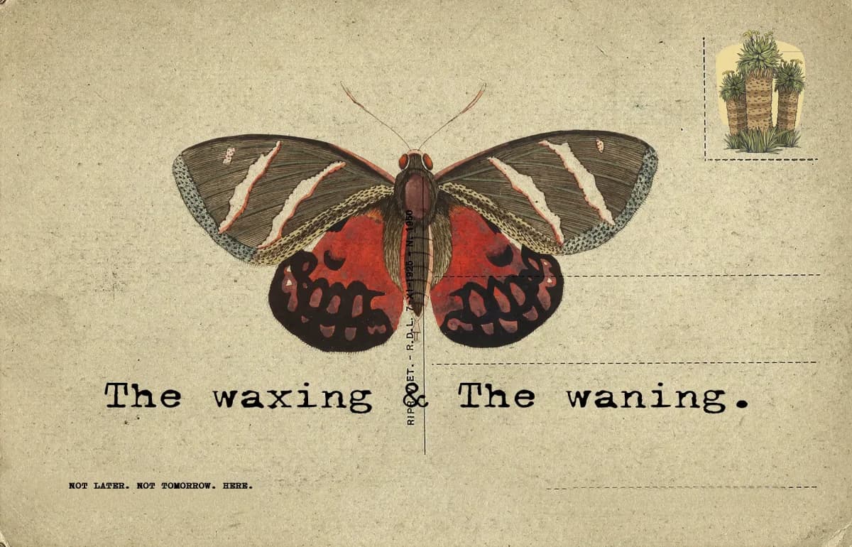 THE WAXING & THE WANING :